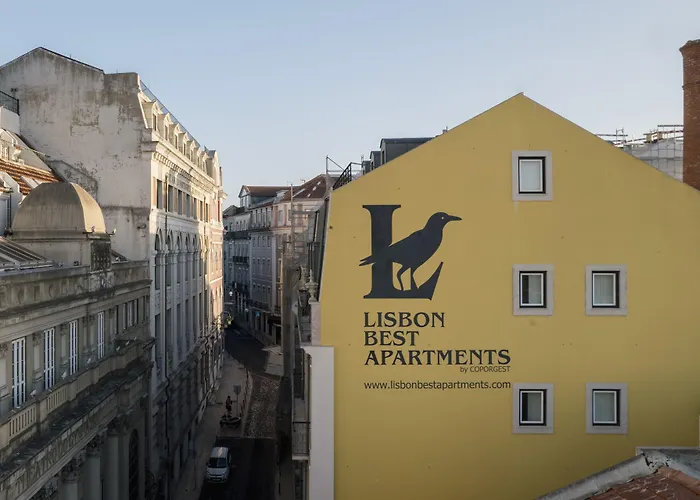 シアード トリンダーデ ベスト